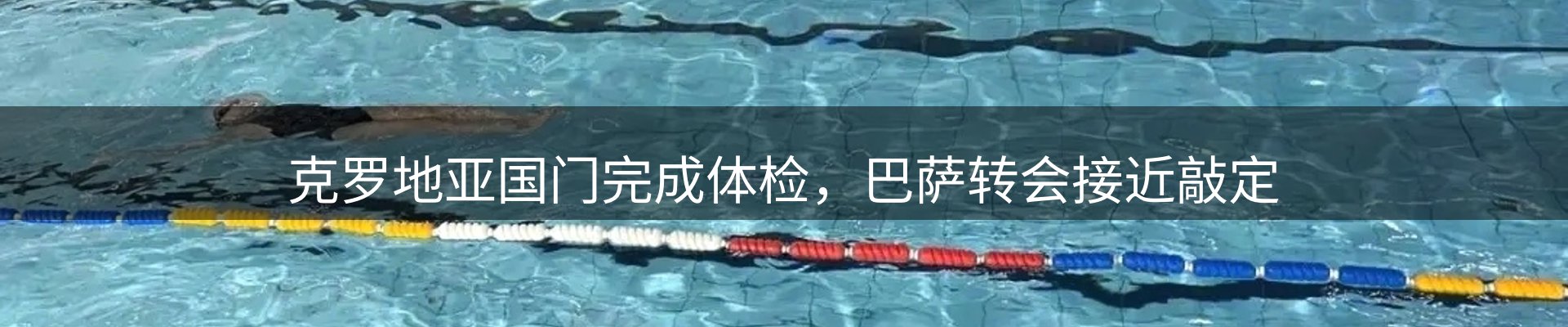 新闻资讯