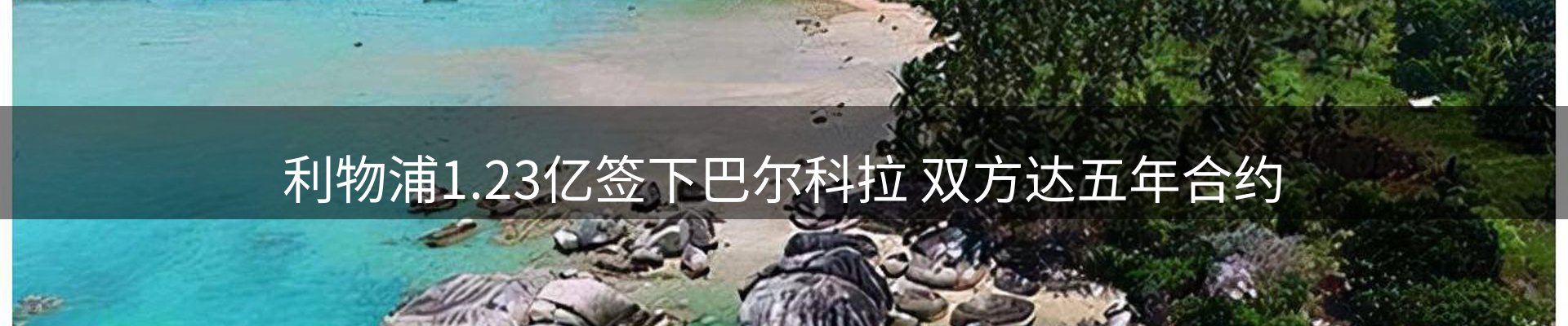 实时资讯