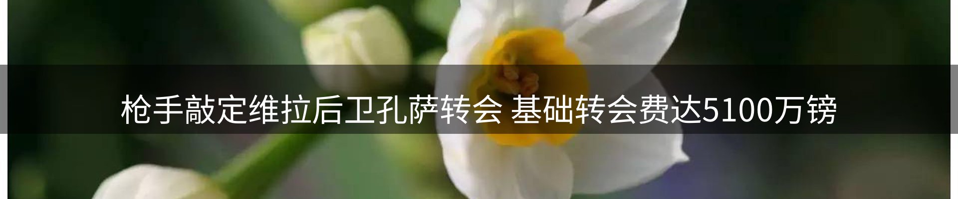 新闻资讯