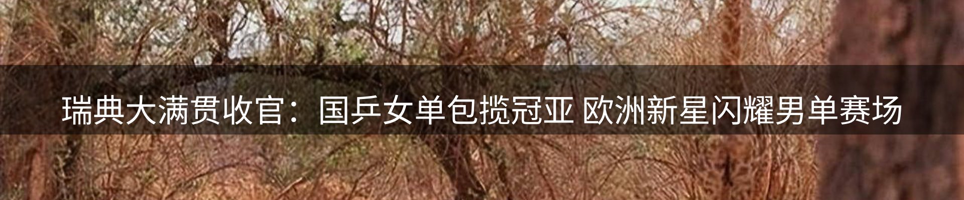 新闻资讯
