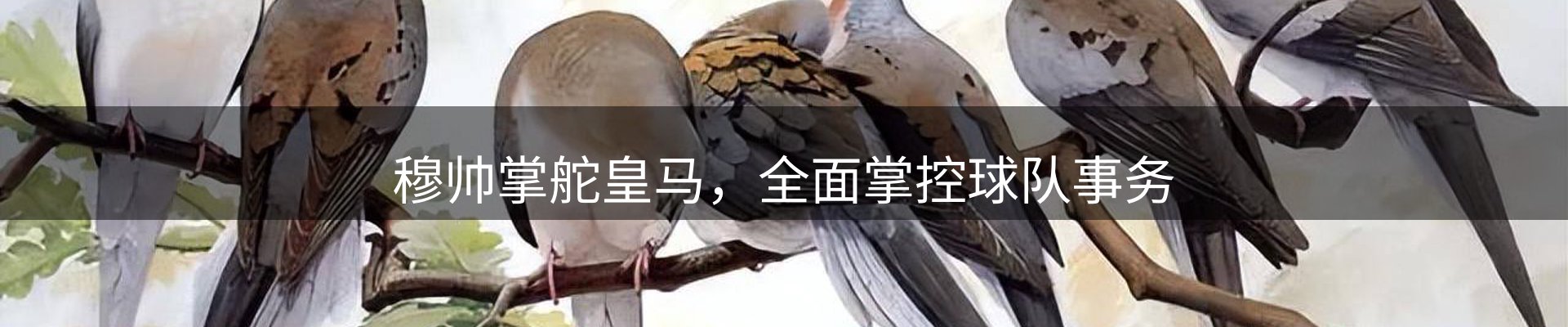 新闻资讯