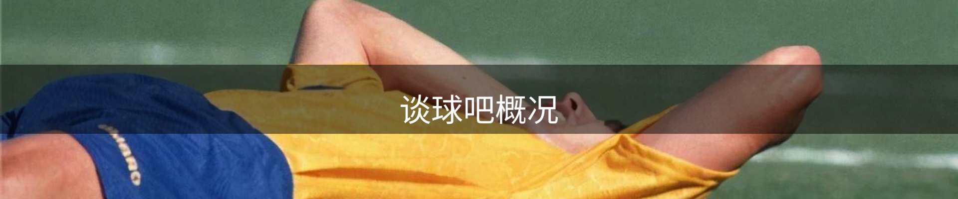 谈球吧概况
